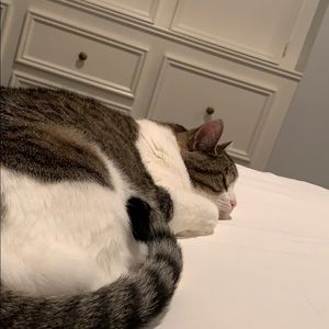 Meet your Posher, Lee